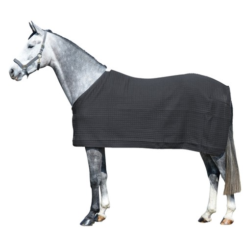 Equest pferdedecke climatherm - equest,