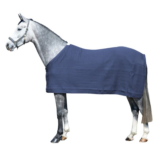 Equest pferdedecke climatherm - equest,