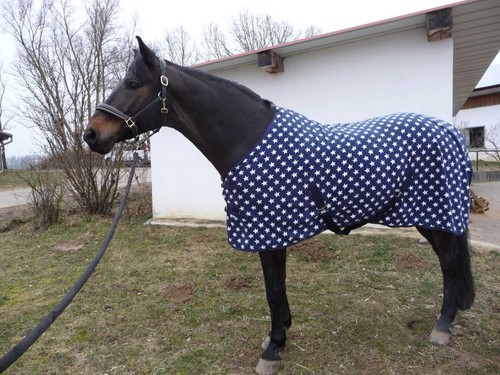 MICROFLEECE-ABSCHWITZDECKE