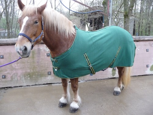 *XL*MICROFLEECE-ABSCHWITZDECKE