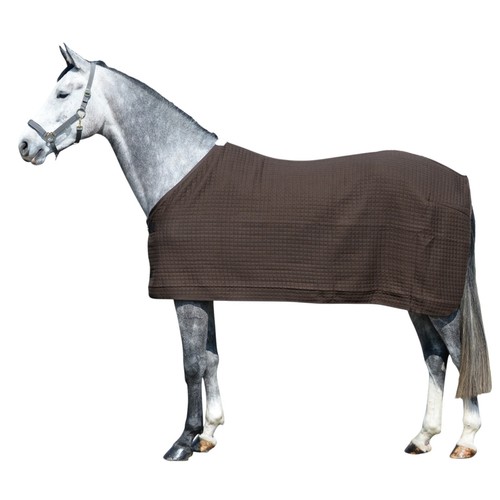 Equest pferdedecke climatherm - equest,