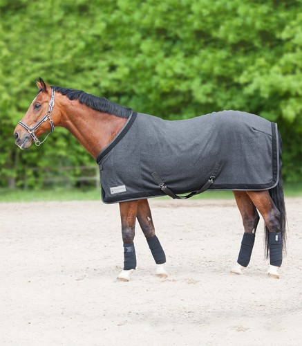 Pferde abschwitzdecke comfort - pferde,