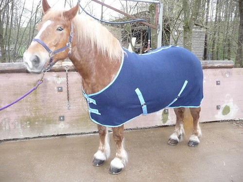 *XL*MICROFLEECE-ABSCHWITZDECKE